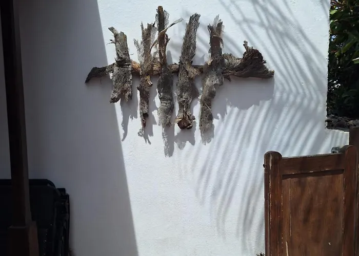 Cocorelax 2 Otro Lugar De Relax En Lanzarote Apartamento